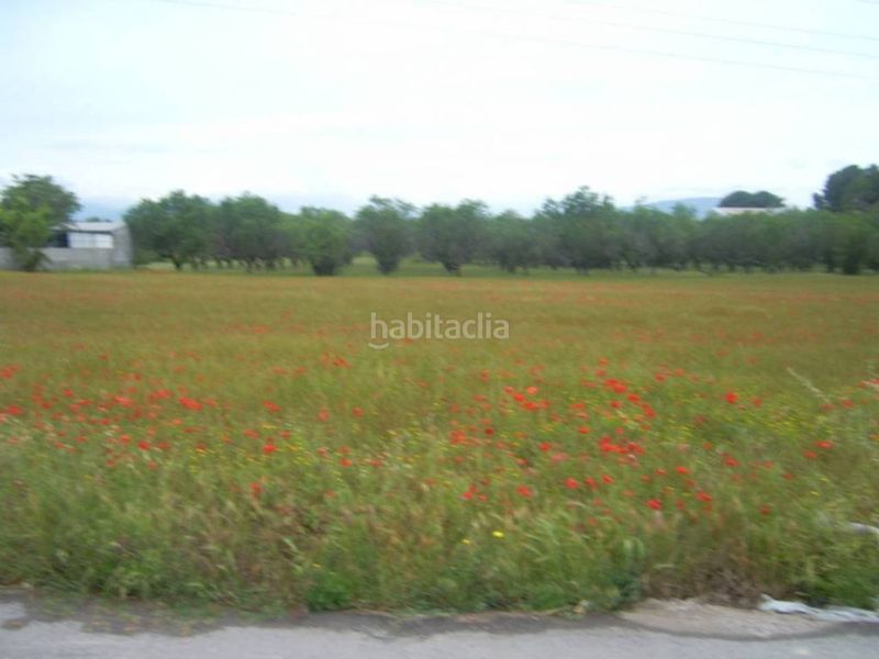 Foto 914f9b41-aca0-436c-ba20-b6486066b20f. Terreno residencial venta de terreno en Puigpelat