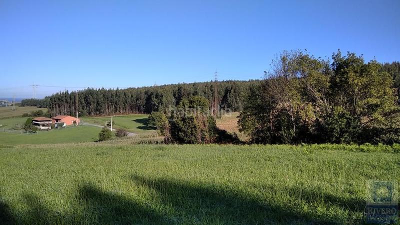 Foto 4c6c3402-998d-48e5-8a4b-80de6632487d. Landgut in tetuán 21d in Llaranes Avilés