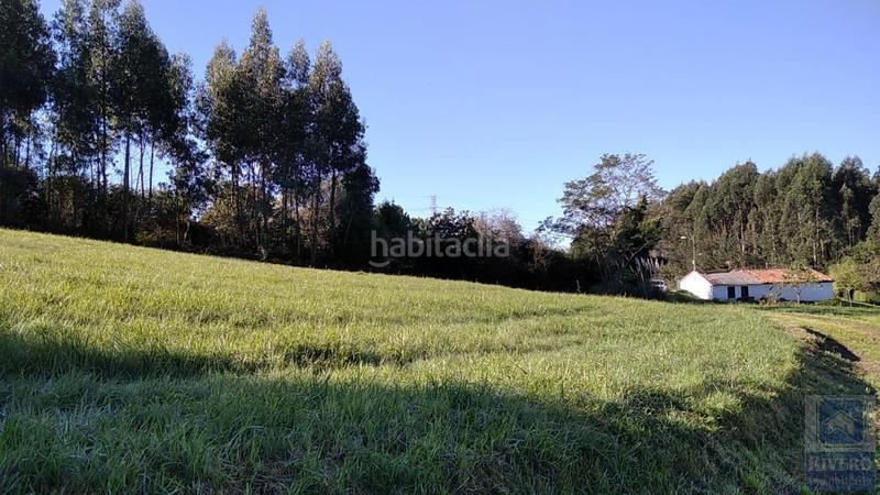 Foto 596d5675-bf6b-4de4-8816-ef69a9053971. Landgut in tetuán 21d in Llaranes Avilés