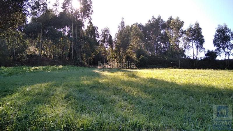 Foto 5f1ab171-2a42-4b73-9f61-553ebda5ad80. Landgut in tetuán 21d in Llaranes Avilés