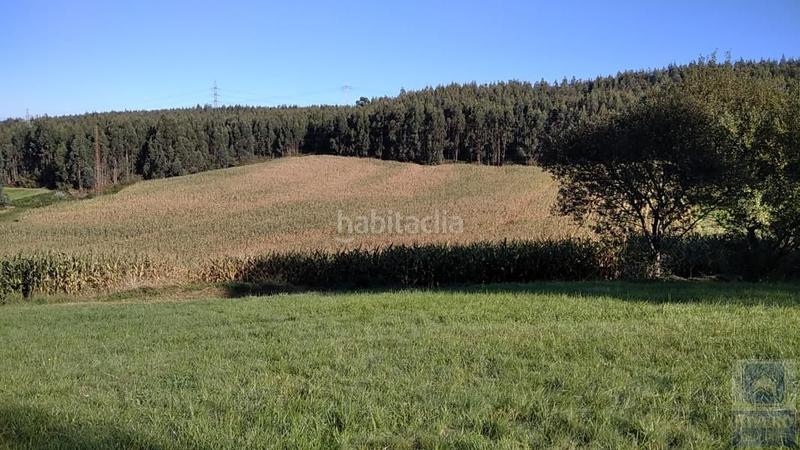 Foto d1615e07-7a49-4960-8c35-56c41bc4334b. Landgut in tetuán 21d in Llaranes Avilés