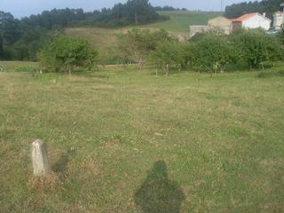 Terreny residencial a Bocines-Nembro-Cardo. Finca zona cardo, gózon, edificable, 27.500 €, teléfono 98556576
