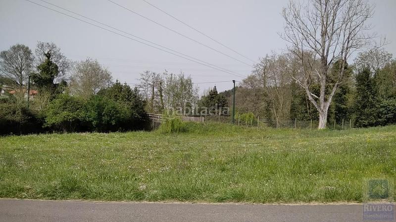 Foto 7f71f764-d166-4337-8f84-614922ecea05. Landgut in Villalegre - La Luz Avilés