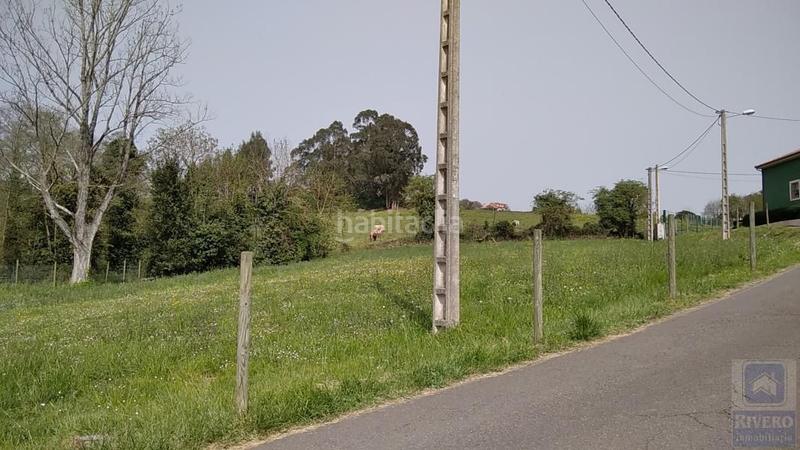 Foto e658e575-262d-49c5-ad38-be98a107d950. Landgut in Villalegre - La Luz Avilés