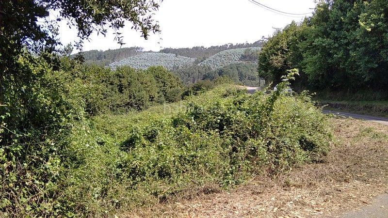 Foto 16689d79-75ed-4bf4-acbc-63919853c8bd. Finca rústica a barrio nozalin 2 a Carreño