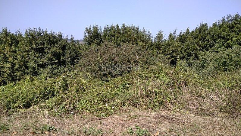 Foto a0c16dee-fe38-42f9-944d-cbb474d93f7b. Finca rústica a barrio nozalin 2 a Carreño