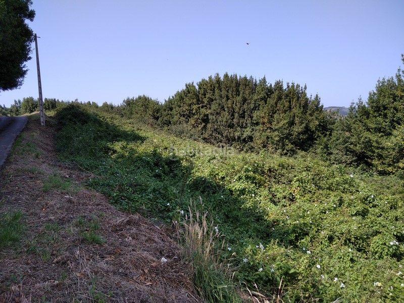 Foto bcda3592-8a25-4a22-beda-392eac4ea198. Finca rústica a barrio nozalin 2 a Carreño