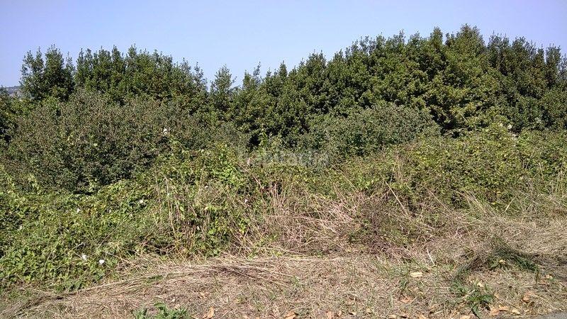 Foto c101ec4f-1ef7-46b1-a559-f342f609088c. Finca rústica a barrio nozalin 2 a Carreño