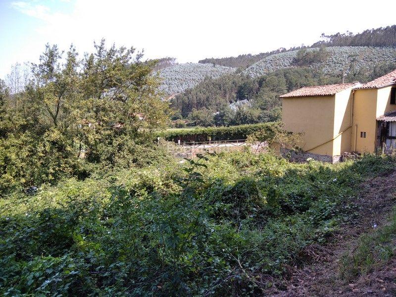 Foto c23b9bf9-b559-47e1-a9b5-b72bbab43671. Finca rústica a barrio nozalin 2 a Carreño