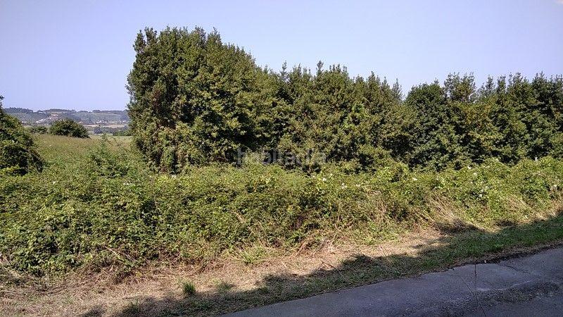 Foto d035a47f-032f-4b2c-9af6-2b7e48d046c9. Finca rústica a barrio nozalin 2 a Carreño