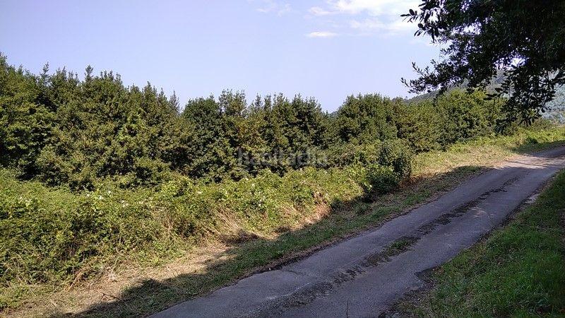 Foto ed31a8bc-0178-492e-b0b7-7af385704c1e. Finca rústica a barrio nozalin 2 a Carreño