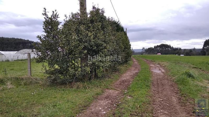 Foto 16105a4d-a22c-490c-b8e2-5e7def913601. Fondo rustico in n/a in Carreño