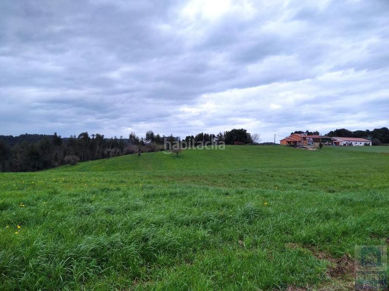 Foto 1d52fa5a-9c1a-4fd8-ab34-91ff43a0f40f. Fondo rustico in n/a in Carreño