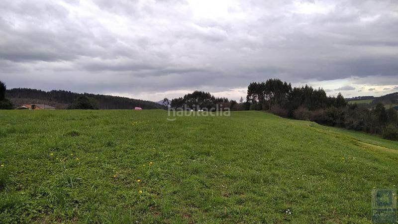 Foto 34287749-ec4e-40f9-b019-40110a833c05. Fondo rustico in n/a in Carreño