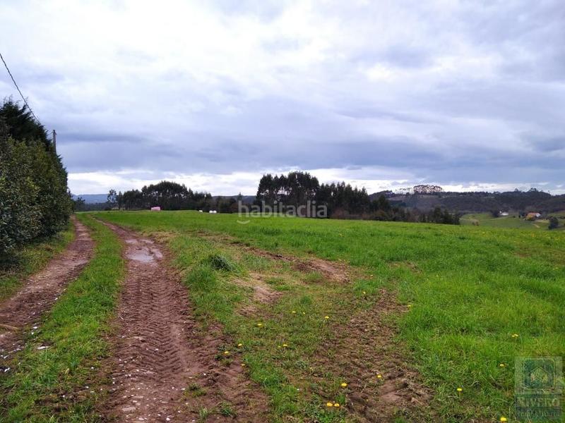 Foto 6b75e460-15be-4c20-bcbb-f0eb19343d25. Fondo rustico in n/a in Carreño