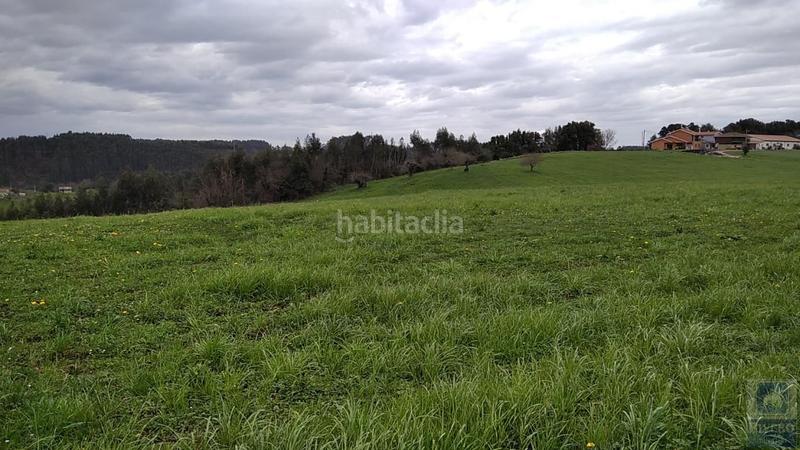 Foto 8034a3a4-a8f7-4b21-b0dd-95a240a49cd8. Fondo rustico in n/a in Carreño