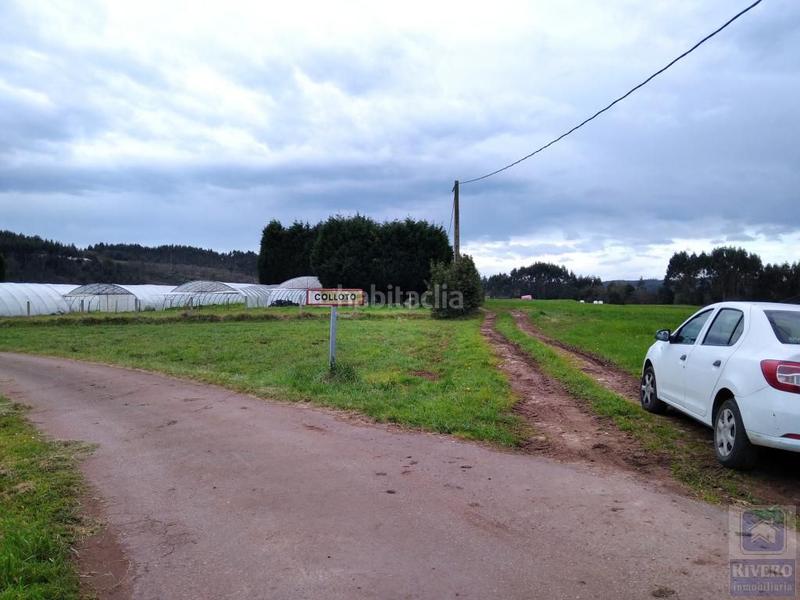 Foto 9fcd8109-5e00-48ea-a33a-76f72848d8bb. Fondo rustico in n/a in Carreño