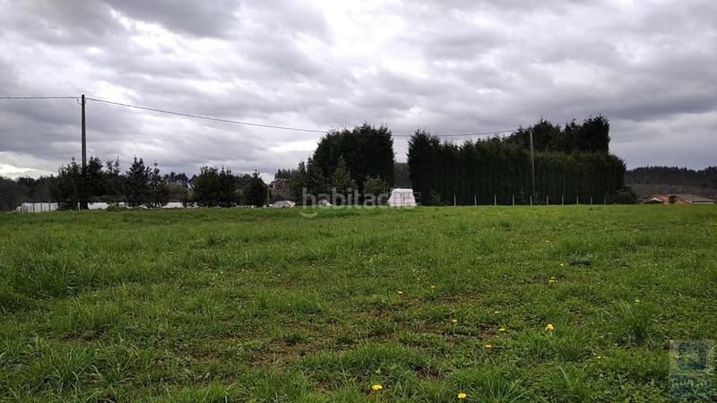 Foto b80dd820-e08e-4a07-a450-9a98c149b013. Fondo rustico in n/a in Carreño