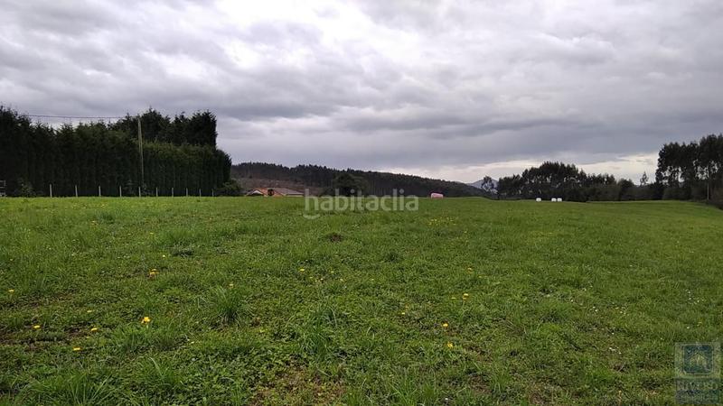 Foto c5322574-fc50-4508-ba58-fa7c6c372582. Fondo rustico in n/a in Carreño