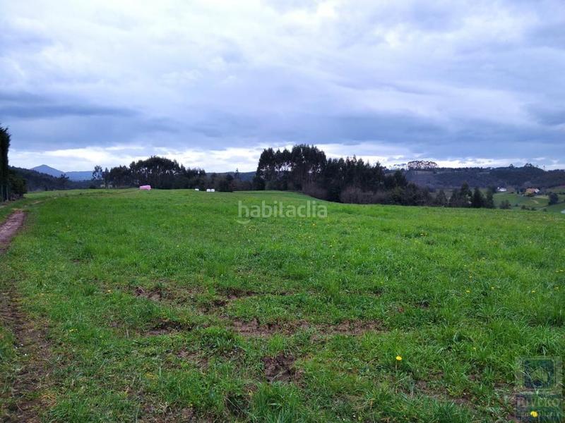 Foto cc79adbe-b8bf-47f4-b69c-d50f1459f74a. Fondo rustico in n/a in Carreño