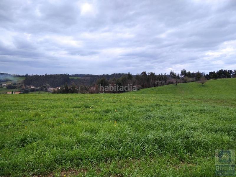 Foto ceabb245-9f75-4417-a66f-564e69bf452d. Fondo rustico in n/a in Carreño