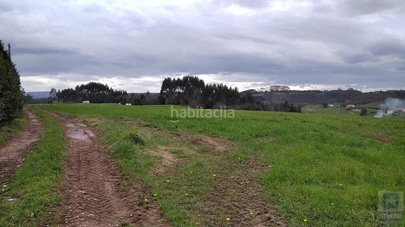 Foto e80b24ad-c515-41f0-8e69-7f8cd747ad0c. Fondo rustico in n/a in Carreño