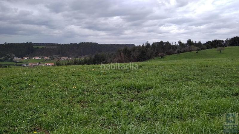 Foto f2e9c939-e32c-4394-9d05-055c2d308a85. Fondo rustico in n/a in Carreño