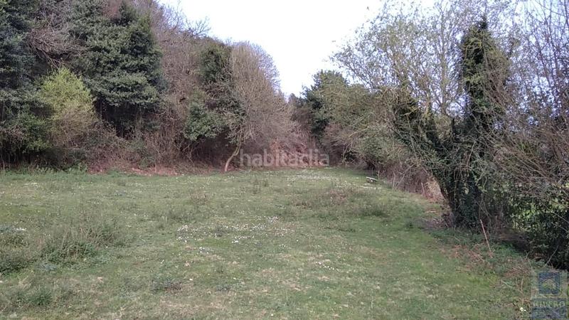 Foto 0fb8e053-1f83-4f06-975f-8fa939a2deae. Finca rústica a as-321 5 a Villalegre - La Luz Avilés