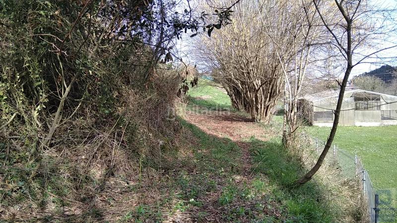 Foto 574175af-8219-4aa5-8458-58c01719722a. Finca rústica a as-321 5 a Villalegre - La Luz Avilés