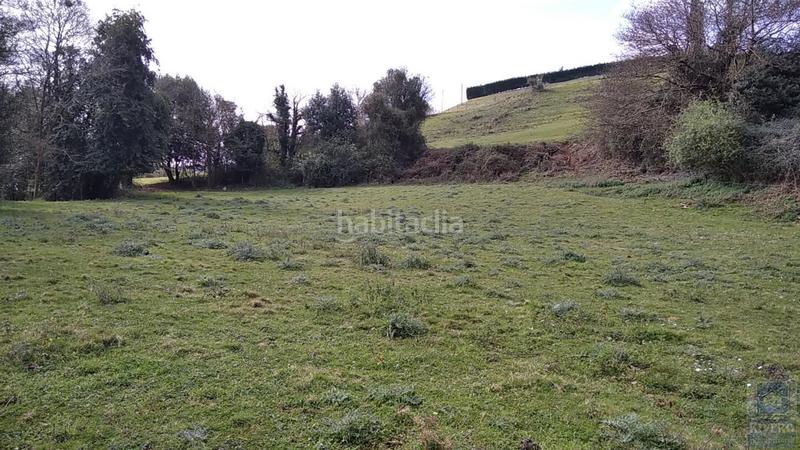 Foto 98179fa7-d2c3-4af3-8e4a-30c74e931e2d. Finca rústica a as-321 5 a Villalegre - La Luz Avilés