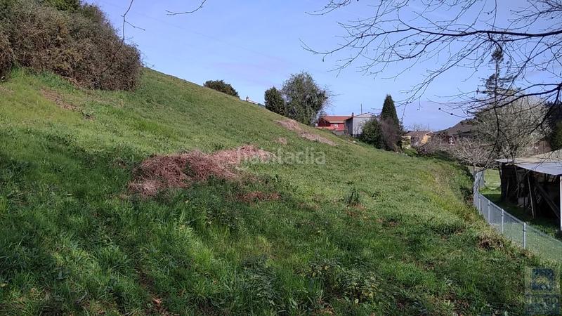 Foto 9907c37f-2664-4c46-911b-368abb749c91. Finca rústica a as-321 5 a Villalegre - La Luz Avilés