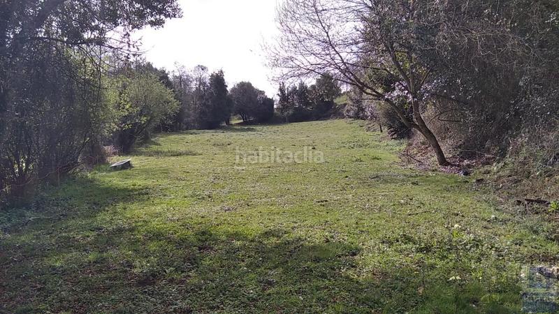 Foto b43fc211-3e62-4993-a52d-1623c8e747b3. Finca rústica a as-321 5 a Villalegre - La Luz Avilés