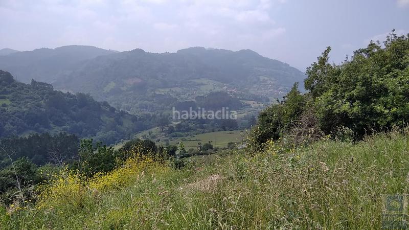 Foto d54fa1d5-6988-4a4e-8161-77ed067c1171. Terreny residencial a as-315 9 a Candamo