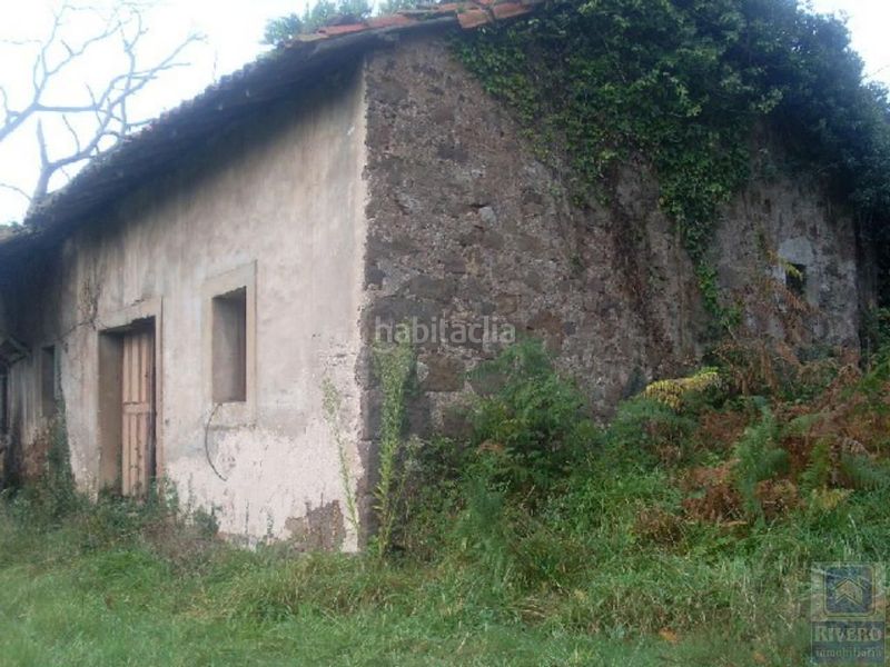 Foto 1deba7cf-e533-4f97-a1dd-42e6a78cfe07. Casa a barrio monte 21 a Carreño