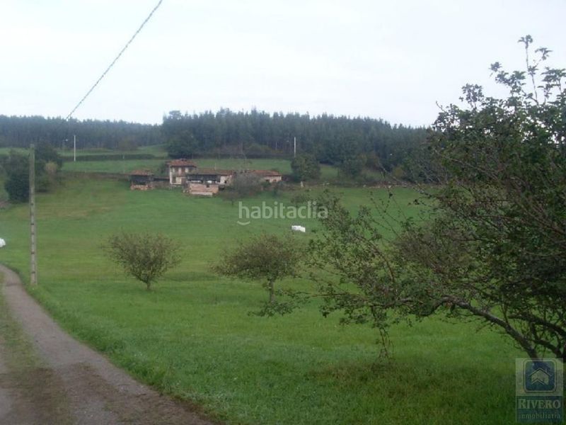 Foto ebd50ba6-af8d-426d-9b50-95ffeaba1d98. Casa a barrio monte 21 a Carreño