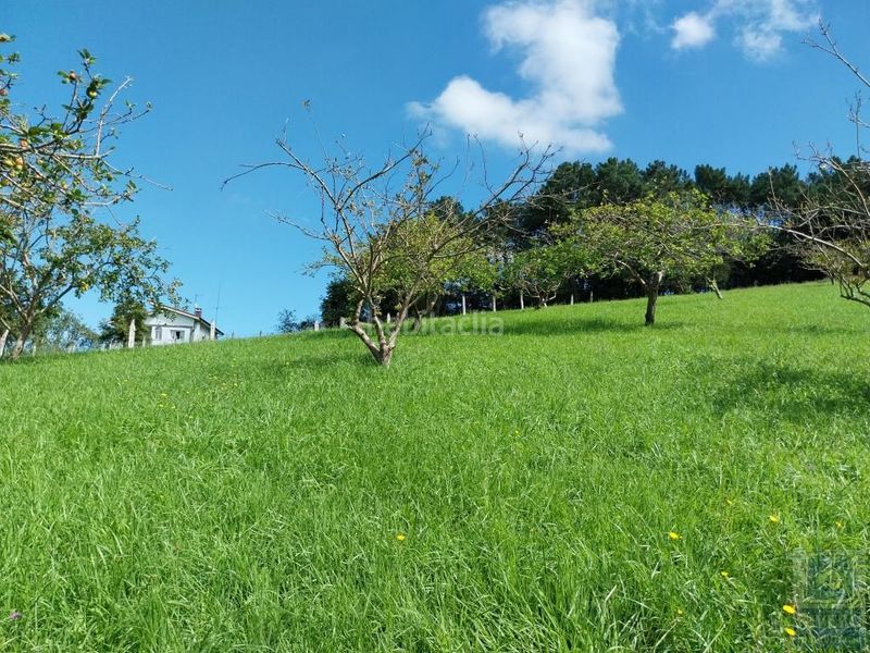 Foto 6b3c42c2-0494-47ff-aa80-6c45616bc4fc. Residential plot in lugar pigil 3 in Illas