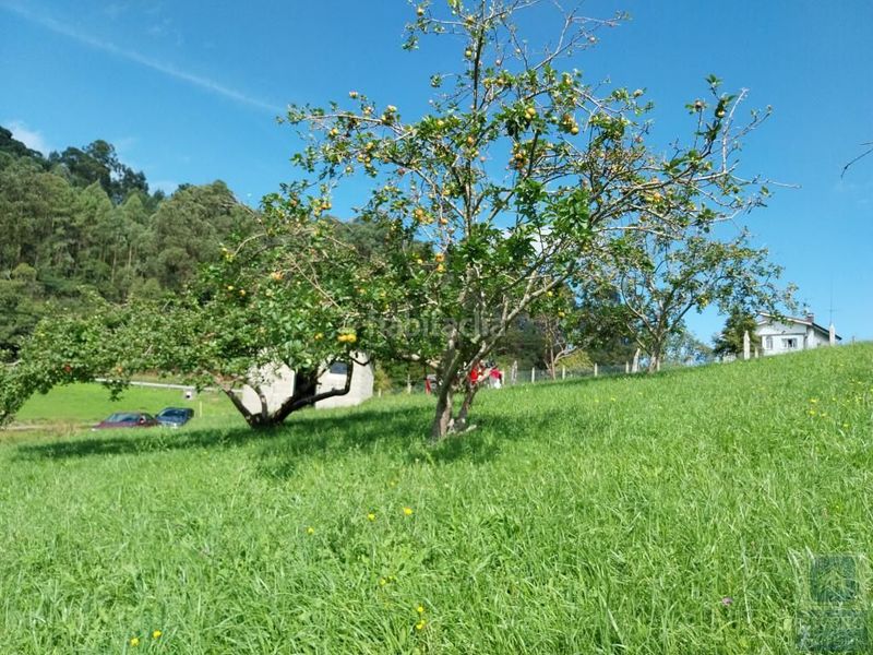 Foto 81616727-48e0-44a9-a162-43863119b928. Residential plot in lugar pigil 3 in Illas