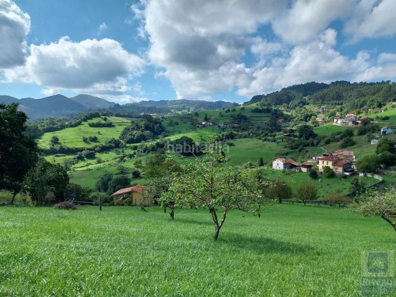 Foto bff72586-4aa8-4ce3-9399-e0e1d85f681d. Residential plot in lugar pigil 3 in Illas