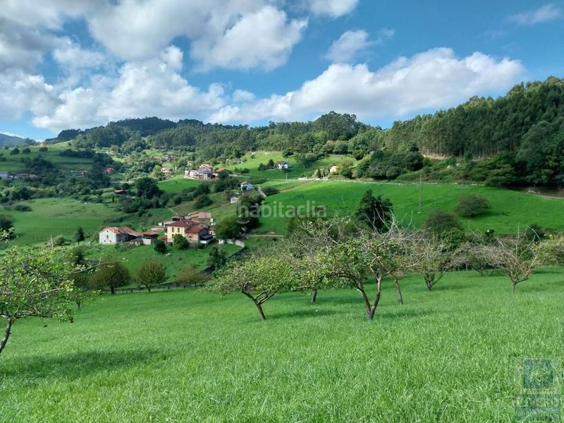 Foto fbe36fa3-9ce0-44b8-9e4d-39e83c31178b. Residential plot in lugar pigil 3 in Illas