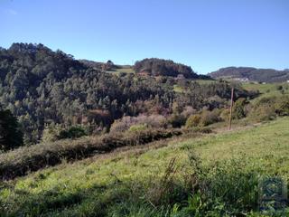 Terreny residencial  N/a. Finca edificable en trejo, a 800 metros callezuela (illas) astur