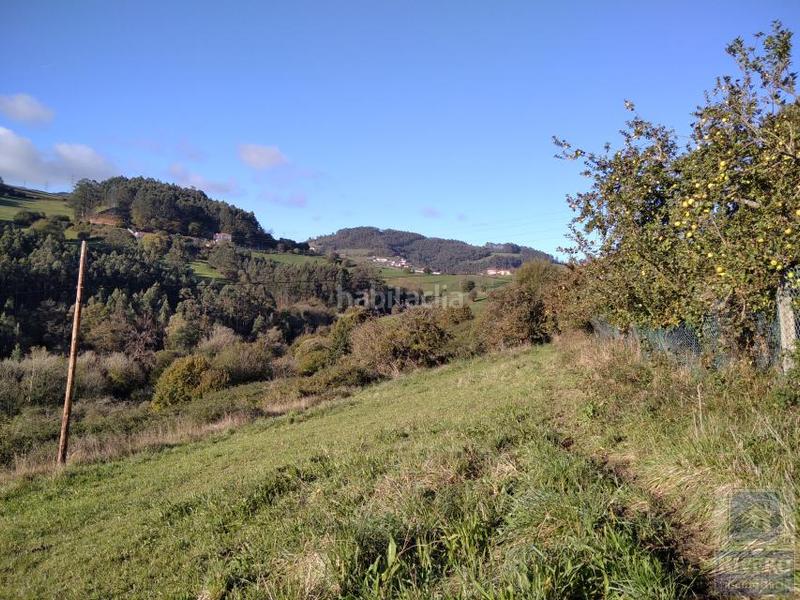 Foto b96e6b6a-19c4-4aad-bfc5-ebd3f05c316c. Wohngrundstück in Illas