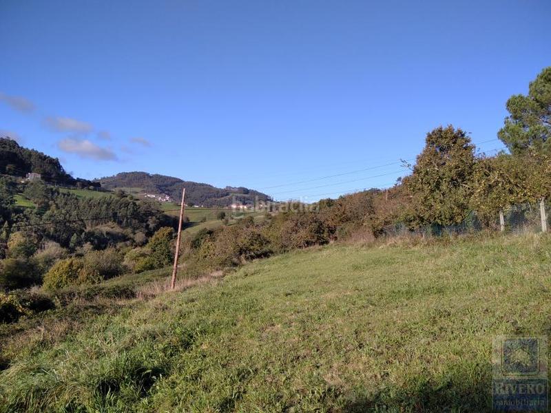 Foto e9eb689f-9955-49b3-947c-2af01d77fc33. Wohngrundstück in Illas