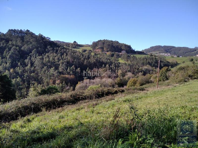 Foto f32f1cd4-80f0-4dfd-b41d-516c16b951ff. Wohngrundstück in Illas