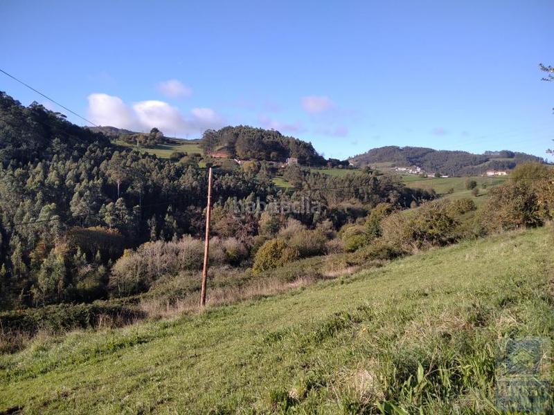 Foto fe52eb27-e08d-4187-8e3d-50d0971eed54. Wohngrundstück in Illas