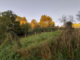 Terreny residencial a Illas. Finca edificable próxima callezuela, illas (asturias)