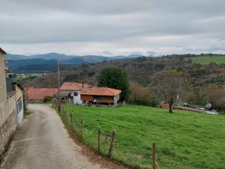 Terrain résidentiel  As-217. Finca parcelable para tres casas independientes, zona tineo (ast