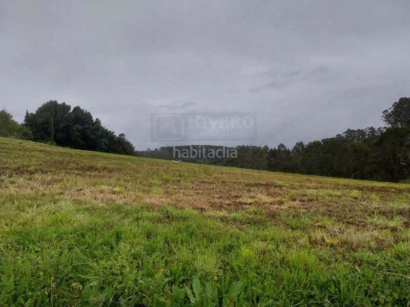 Foto 089bdd0a-1588-49fc-a15a-421f6987354c. Terreny residencial a Carreño