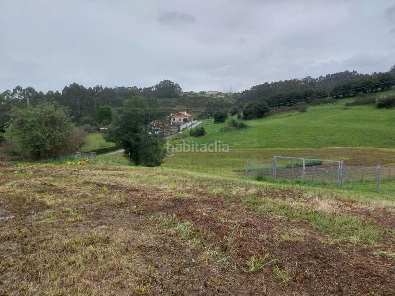 Foto 1229ff91-9482-4596-a0d3-eaa54d535cf2. Terreny residencial a Carreño