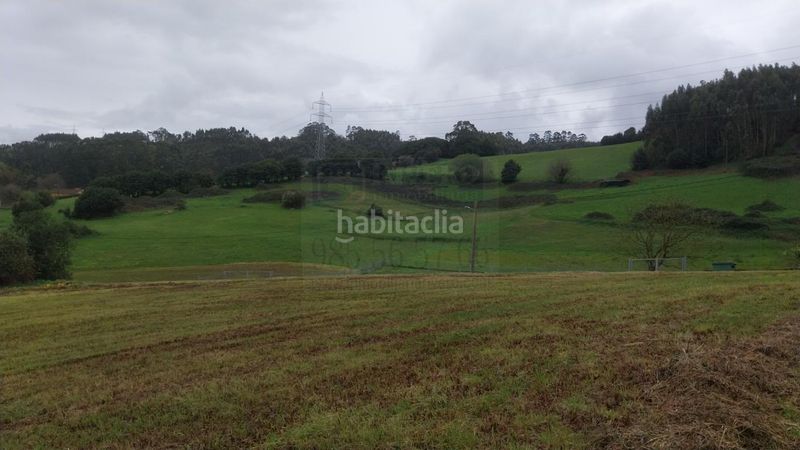 Foto 3cb5c9e6-d8cf-4b08-b1f8-c6ba82ff8df4. Terreny residencial a Carreño