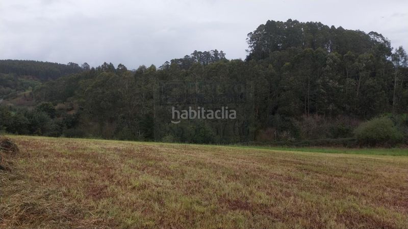 Foto d14ddfd7-bf50-4687-9285-193a257e608d. Terreny residencial a Carreño
